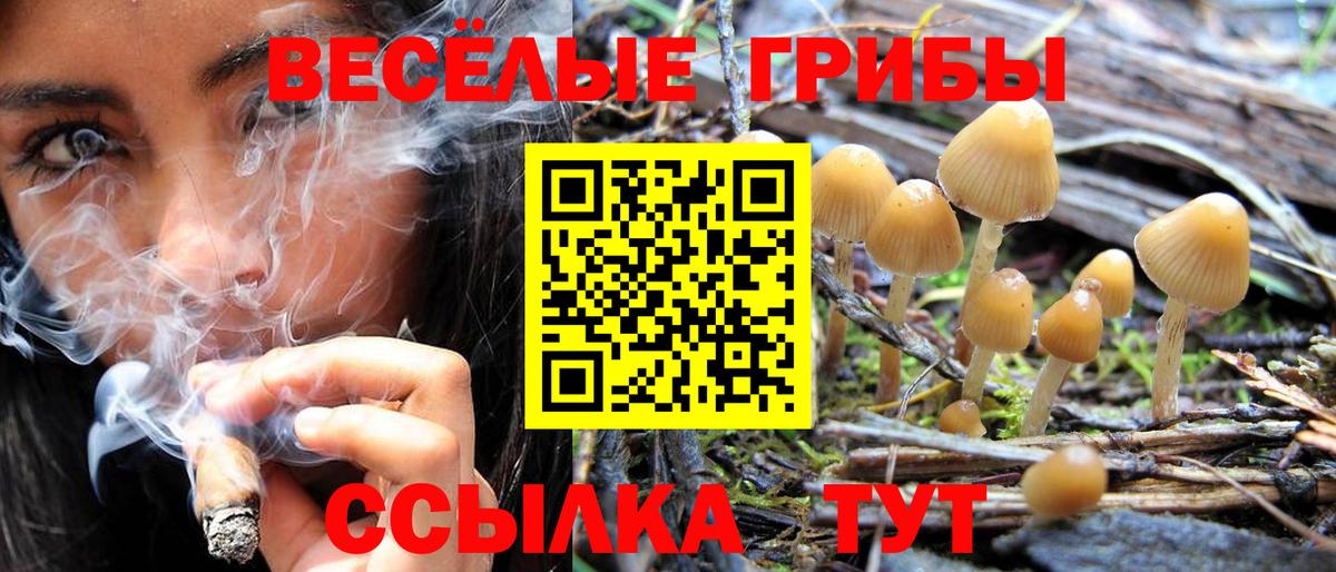 Псилоцибиновые грибы Psilocybe  Вход с VPN  Самара 